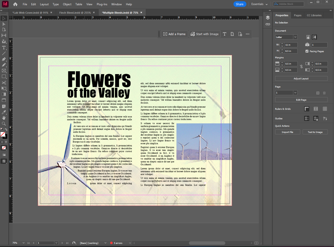 Project Builder 1